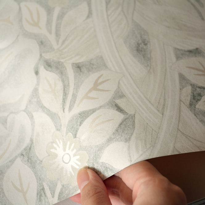 PURE MORRIS (ピュアモリス) / PURE MORRIS NORTH WALLPAPERS / Pure Pimpernel 216538