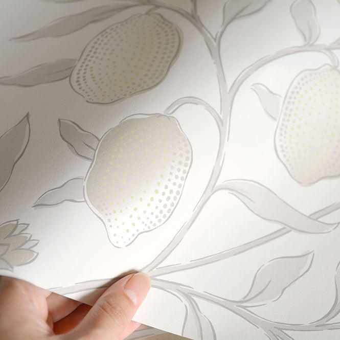 PURE MORRIS (ピュアモリス) / PURE MORRIS NORTH WALLPAPERS / Pure Fruit 216542