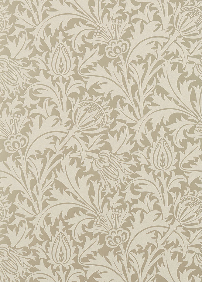 PURE MORRIS (ピュアモリス) / PURE MORRIS NORTH WALLPAPERS / Pure Thistle 216548