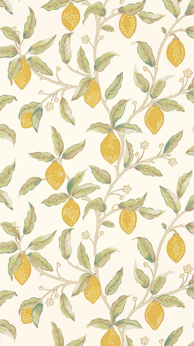 MORRIS & Co.(ウィリアム・モリス) / Archive Wallpapers 5 MELSETTER / Lemon Tree 216672