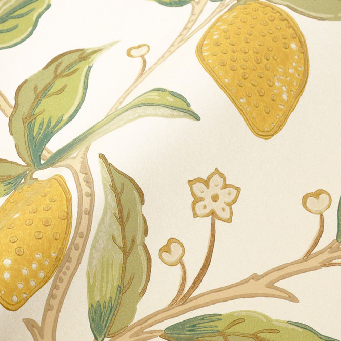 MORRIS & Co.(ウィリアム・モリス) / Archive Wallpapers 5 MELSETTER / Lemon Tree 216672