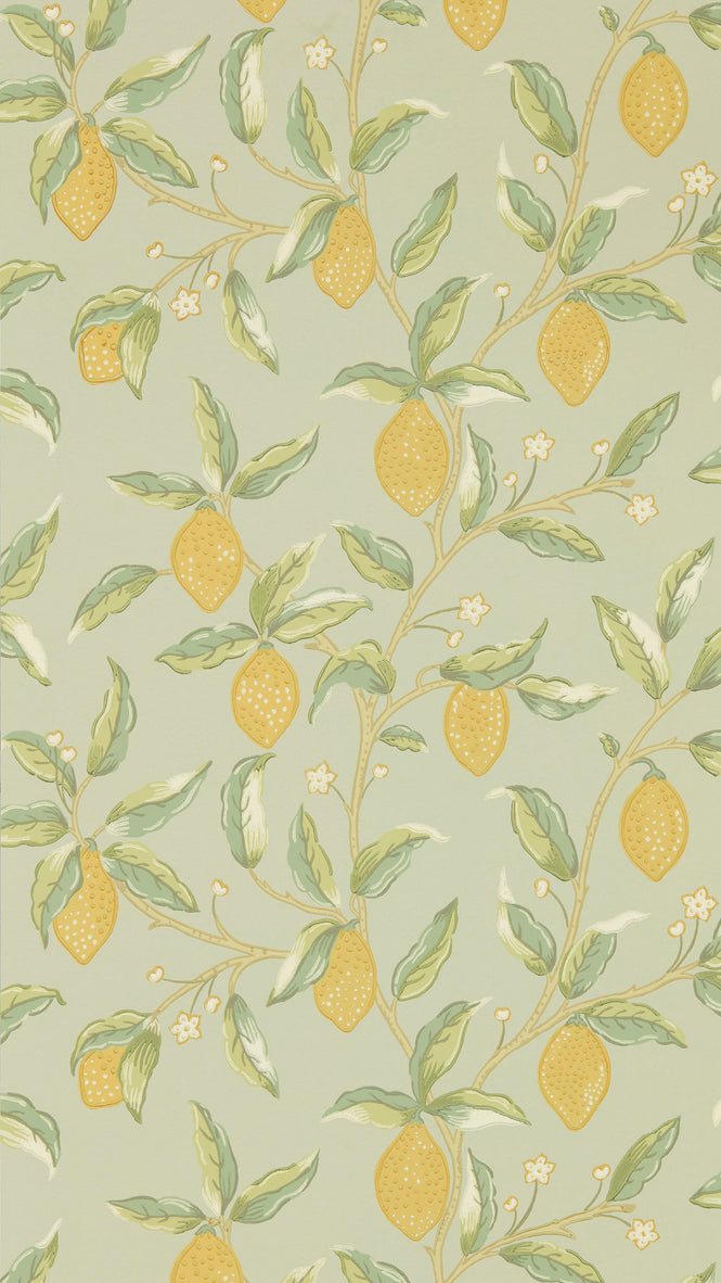 MORRIS & Co.(ウィリアム・モリス) / Archive Wallpapers 5 MELSETTER / Lemon Tree 216673