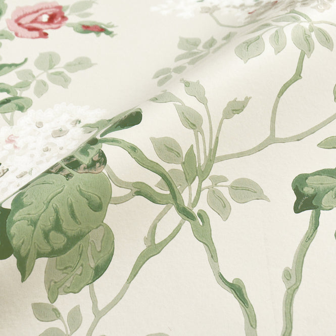 Sanderson / ONE SIXTY WALLPAPER COLLECTION / Sommerville Blush / Grey Birch 217050