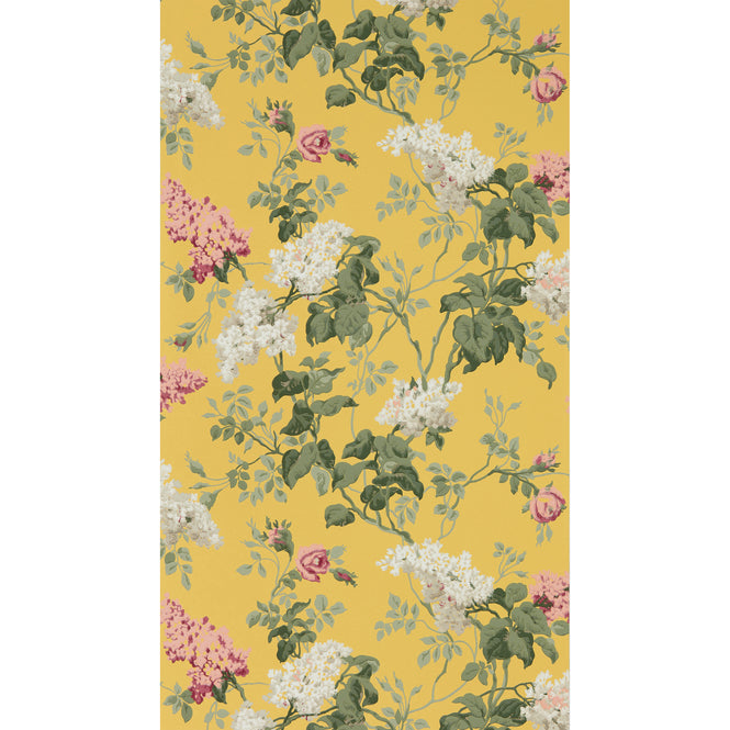 Sanderson / ONE SIXTY WALLPAPER COLLECTION / Sommerville Carmen / Daffodil 217051