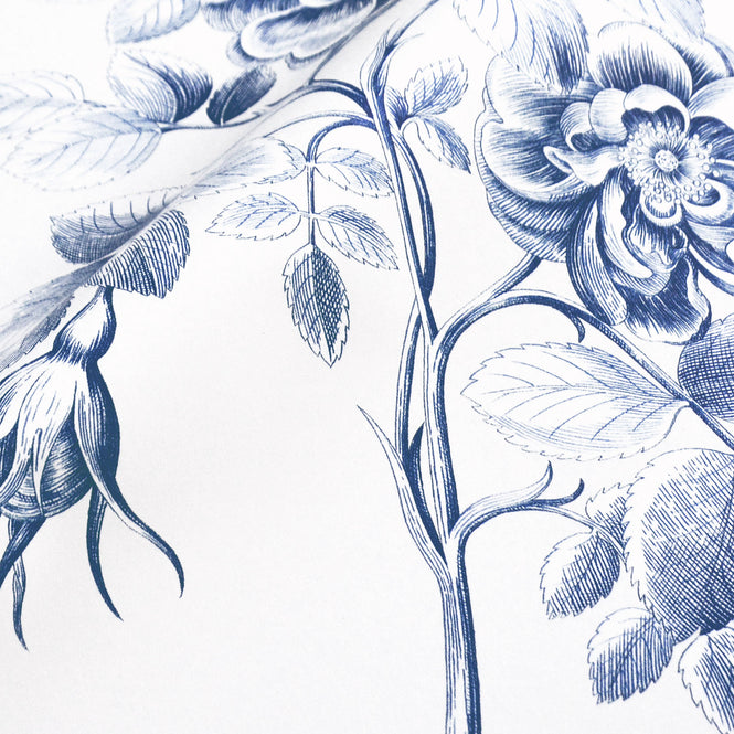 Sanderson / ONE SIXTY WALLPAPER COLLECTION / Etchings & Roses China Blue 217052