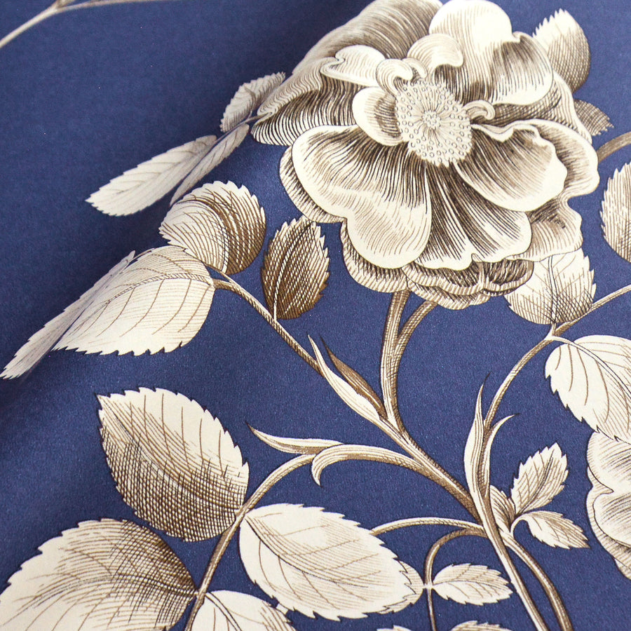 Sanderson / ONE SIXTY WALLPAPER COLLECTION / Etchings & Roses French Blue 217053