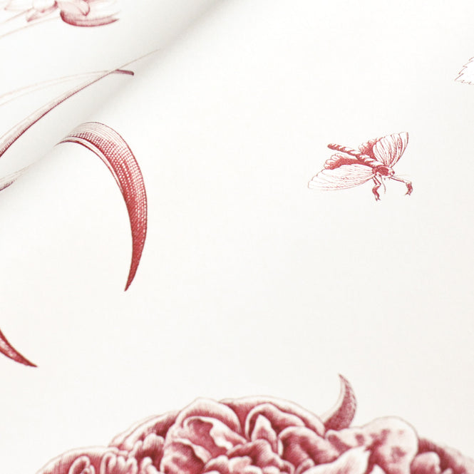 Sanderson / ONE SIXTY WALLPAPER COLLECTION / Etchings & Roses Amanpuri Red 217054