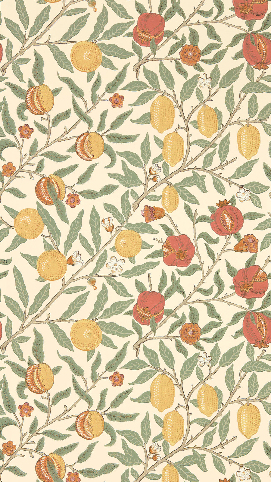 ウイリアムモリス 素材集 William Morris Designs - 通販