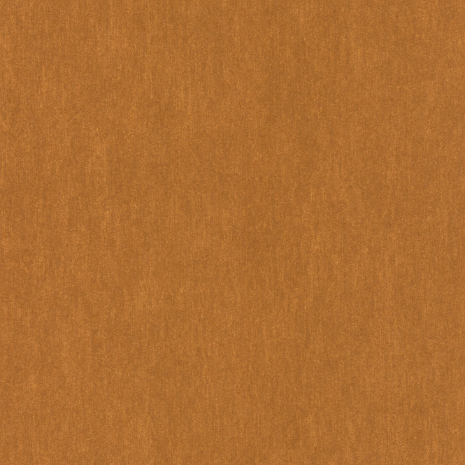 Emil & Hugo / 291017 (SENSAI)