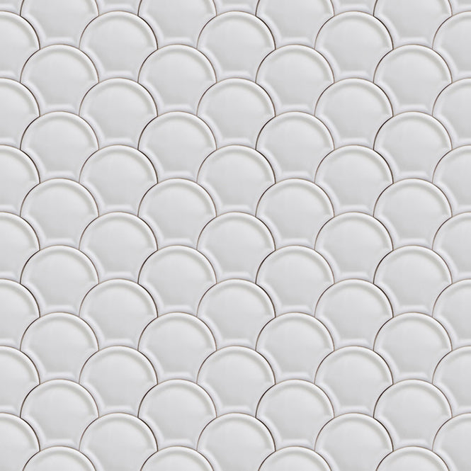 coordonne / Scales / 3000024