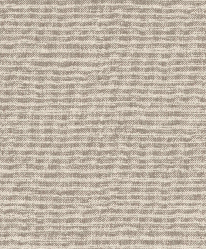 【切売m単位】rasch ラッシュ / 312164 (Color Your Life)