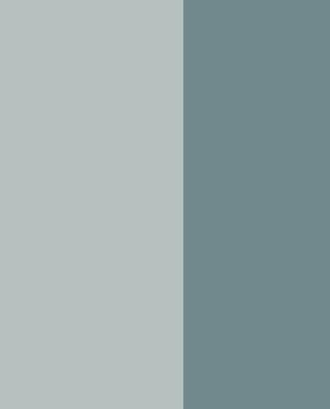 Eijffinger / STRIPES+ / 377154