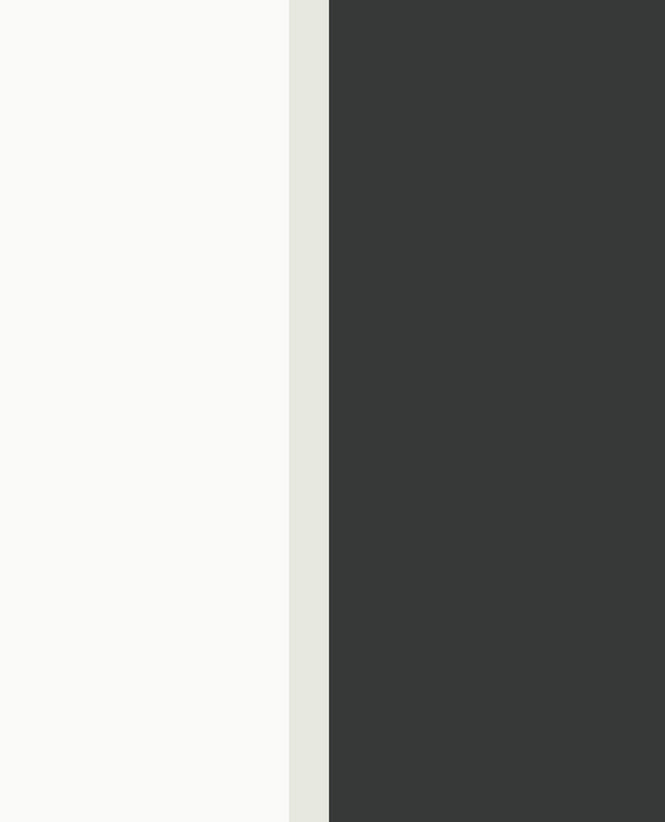 Eijffinger / STRIPES+ / 377166