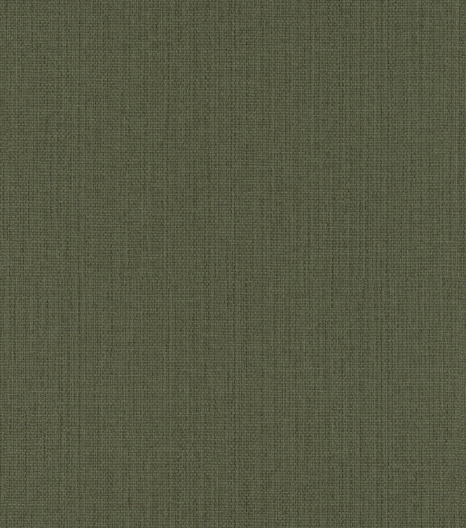 【切売m単位】rasch ラッシュ / 407945 (Kimono)