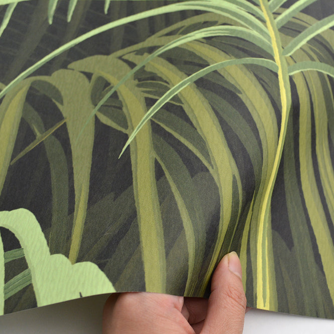 neoDKO / OBJET DE CURIOSITE オブジェデキュリオシティ Palms Valley 4213a