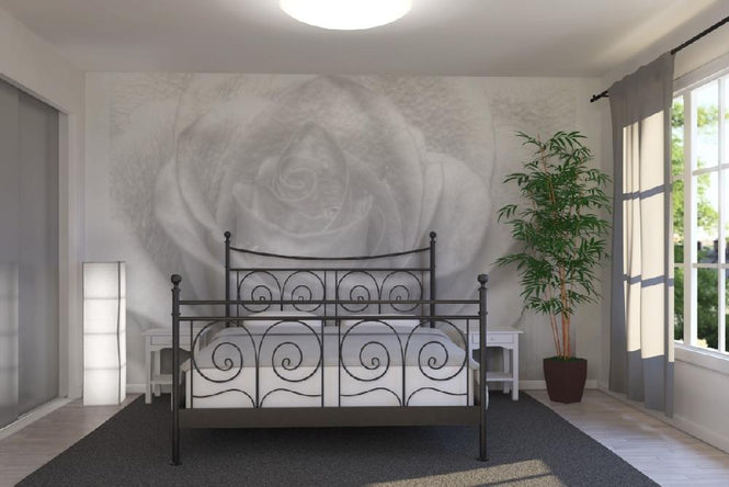 PHOTOWALL / High Key Rose - b/w (e1586)