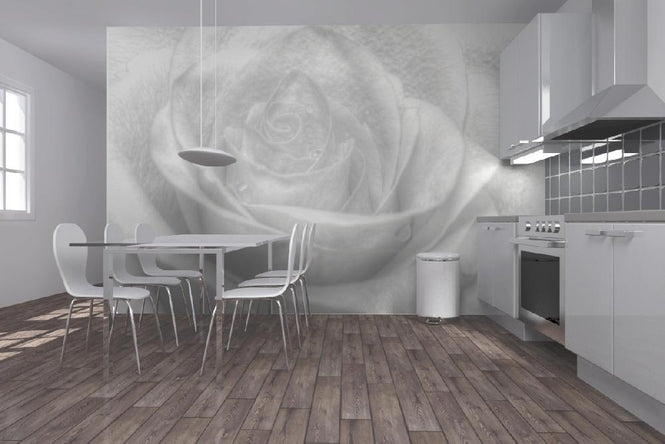 PHOTOWALL / High Key Rose - b/w (e1586)