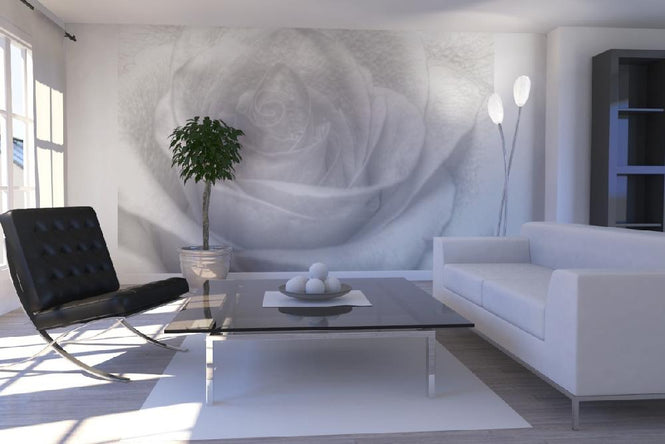 PHOTOWALL / High Key Rose - b/w (e1586)