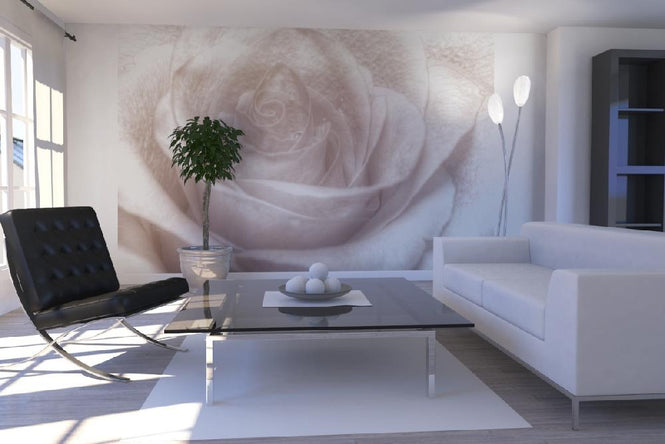 PHOTOWALL / High Key Rose - Sepia (e1587)