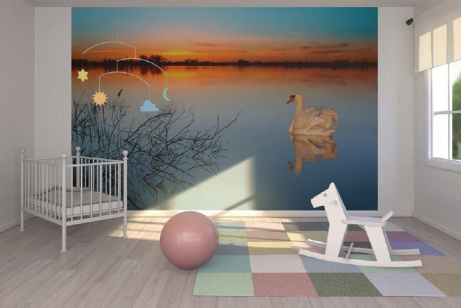 PHOTOWALL / Swan on a lake (e1590)
