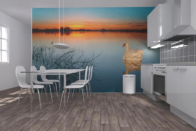 PHOTOWALL / Swan on a lake (e1590)