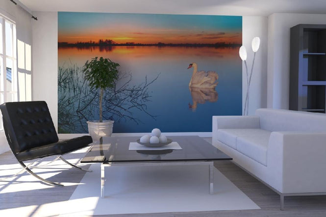 PHOTOWALL / Swan on a lake (e1590)