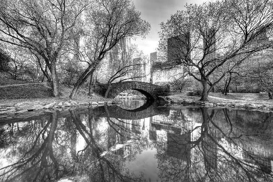PHOTOWALL / Bridge in Central Park - b/w (e1593)