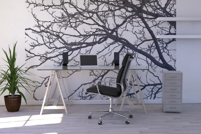 PHOTOWALL / Black and White Tree (e19110)