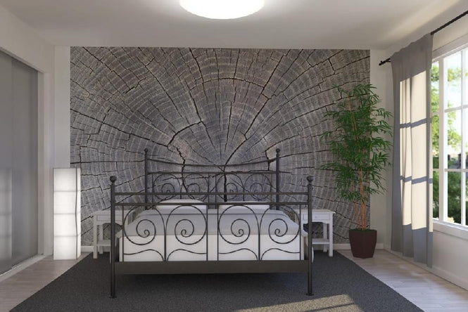 PHOTOWALL / Tree Trunk Showing Growth Rings (e19113)