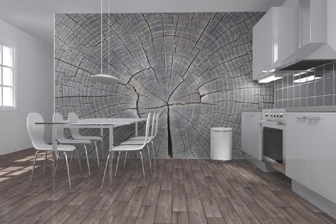 PHOTOWALL / Tree Trunk Showing Growth Rings (e19113)