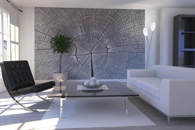 PHOTOWALL / Tree Trunk Showing Growth Rings (e19113)