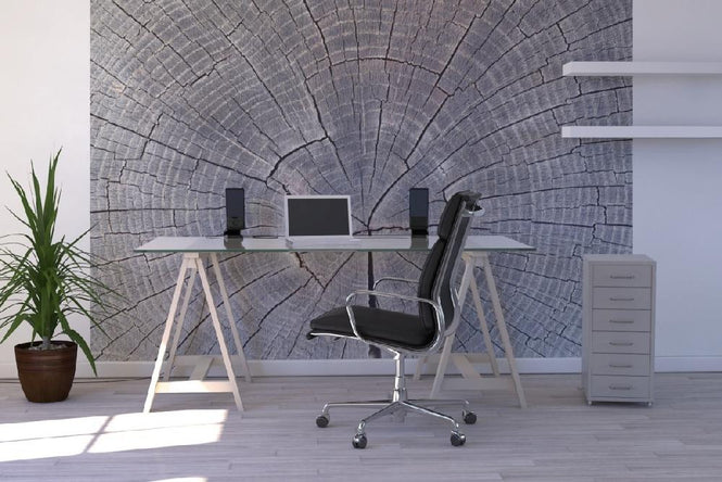 PHOTOWALL / Tree Trunk Showing Growth Rings (e19113)