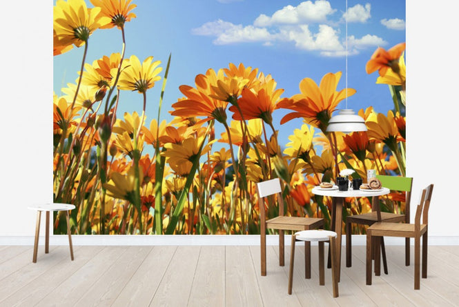 PHOTOWALL / Spring Orange and Yellow Wildflowers (e19114)
