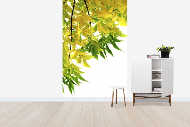 PHOTOWALL / Green and Yellow Leaf (e19125)