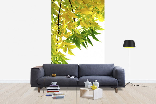 PHOTOWALL / Green and Yellow Leaf (e19125)
