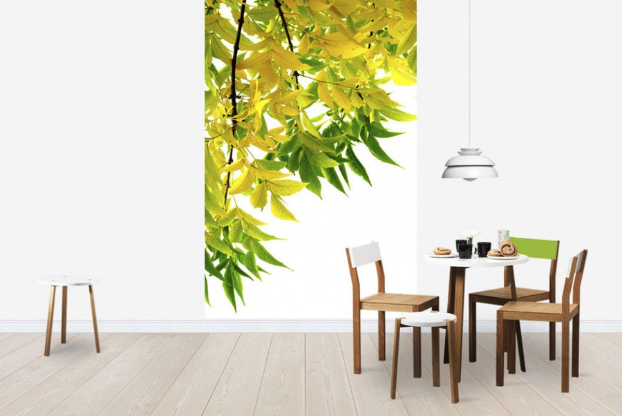 PHOTOWALL / Green and Yellow Leaf (e19125)