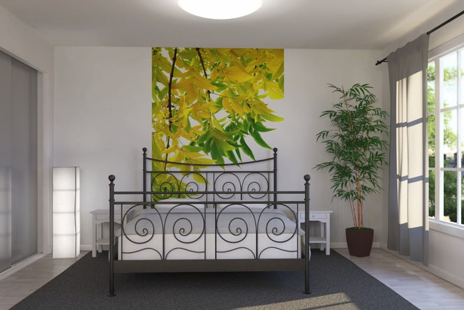 PHOTOWALL / Green and Yellow Leaf (e19125)