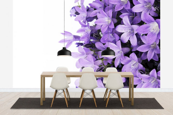 PHOTOWALL / Purple Flowers (e19127)