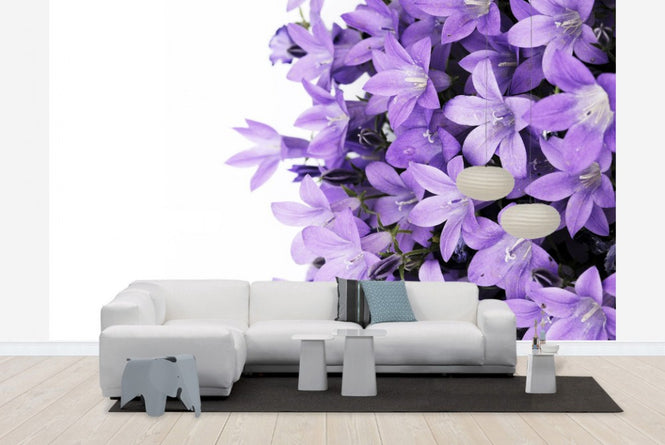 PHOTOWALL / Purple Flowers (e19127)