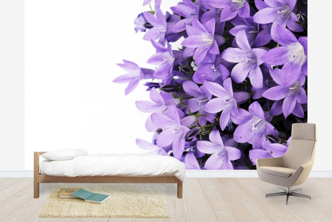 PHOTOWALL / Purple Flowers (e19127)