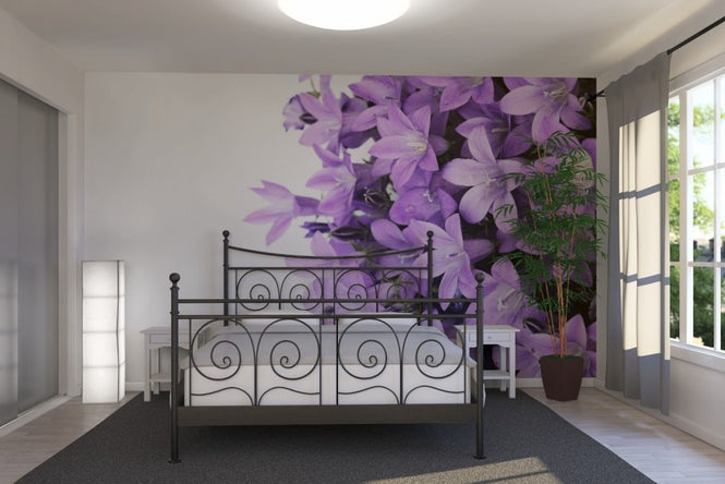 PHOTOWALL / Purple Flowers (e19127)