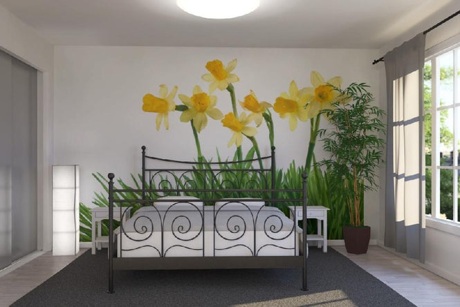 PHOTOWALL / Daffodils in Green Grass (e19133)