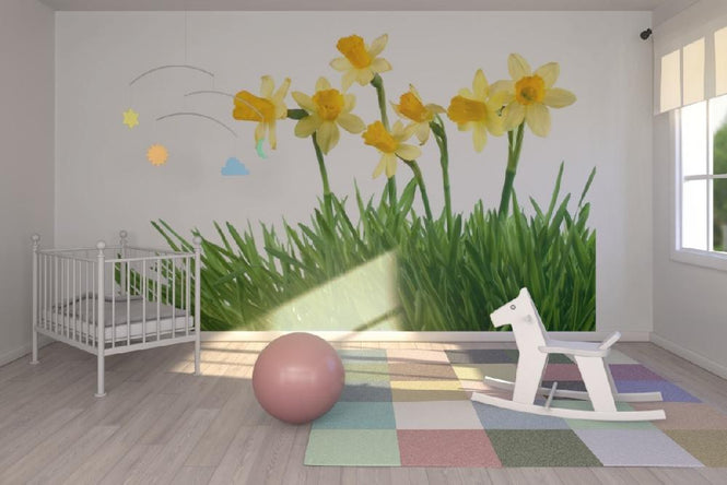 PHOTOWALL / Daffodils in Green Grass (e19133)