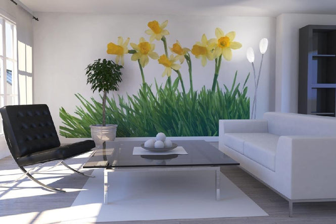PHOTOWALL / Daffodils in Green Grass (e19133)