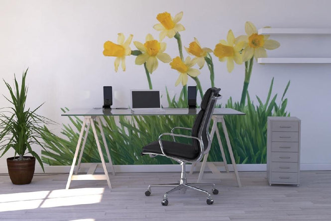 PHOTOWALL / Daffodils in Green Grass (e19133)