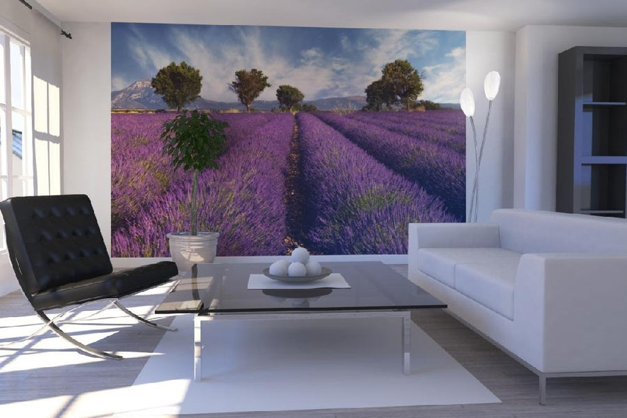 PHOTOWALL / Lavender Field in Provence (e19149)
