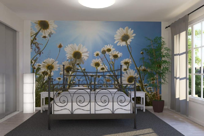 PHOTOWALL / White Daisies (e19159)