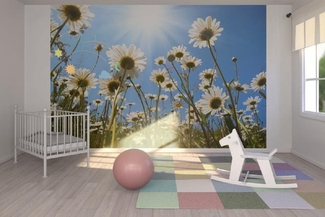 PHOTOWALL / White Daisies (e19159)