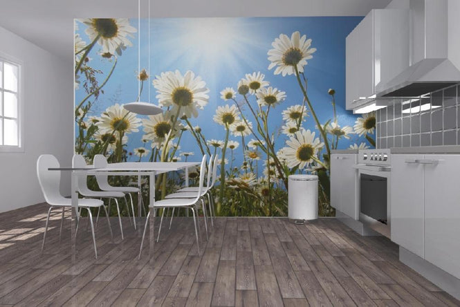 PHOTOWALL / White Daisies (e19159)