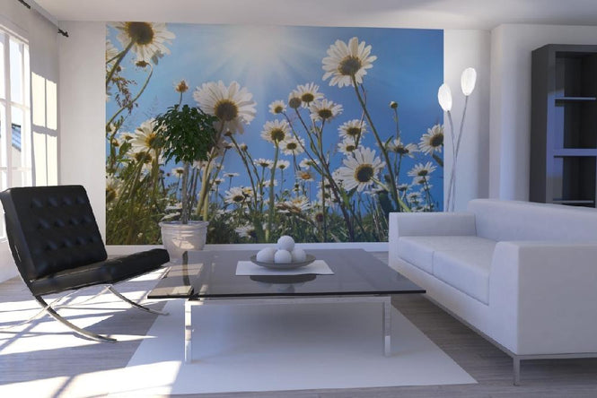 PHOTOWALL / White Daisies (e19159)